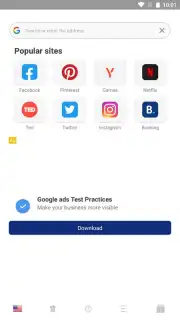 Proxy Browser captura 7