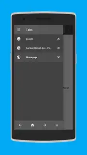 Browser 8G captura 3
