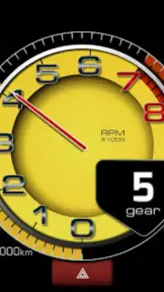 RealDash captura 3