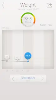 Smart Scale captura 1