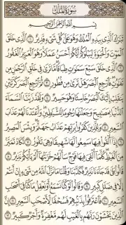 القرآن الكريم كامل مع التفسير‎ captura 2