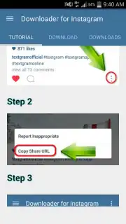 Video Downloader for Instagram captura 5