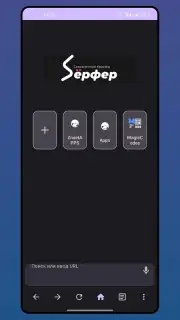 Serfer Browser captura 1