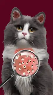 Cat ASMR: Salon Makeover captura 1