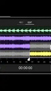 Sony Music Pro captura 3