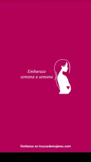 Semanas Embarazo captura 14