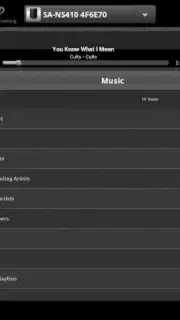 Network Audio Remote captura 6