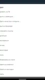 Video App for VK captura 13