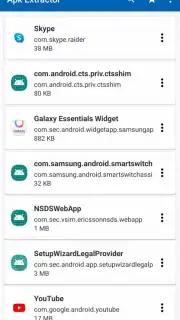 NSDSWebApp captura 1