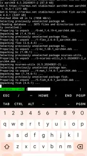 Termux captura 10