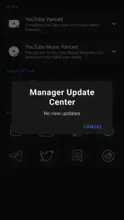 Vanced Manager captura 13