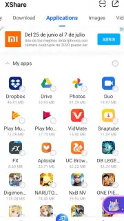 XShare captura 1