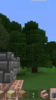 Minicraft captura 8