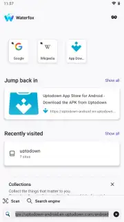 Waterfox captura 6