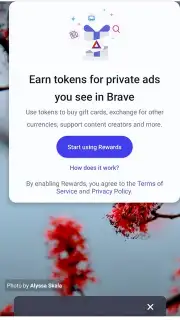 Brave Browser captura 3