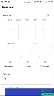 Flat Equalizer captura 5