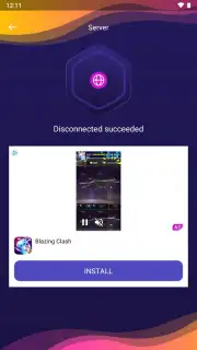 Flower VPN captura 3