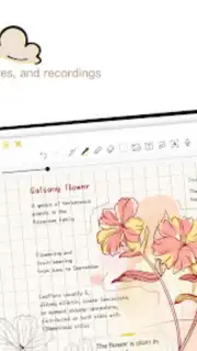 J Notes：Note-Taking&Editor PDF captura 11