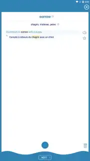 Reverso Translation Dictionary captura 17
