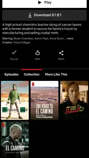 Netflix (Android TV) captura 17