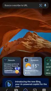 Bing captura 3