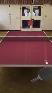 Table Tennis Touch captura 5