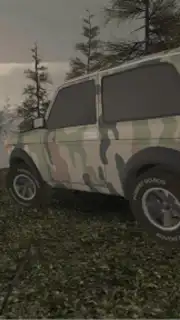 Forest Roads. Niva captura 1
