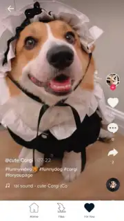 Downloader for TikTok captura 1