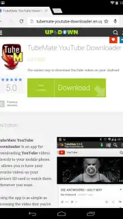 Chrome Dev captura 4