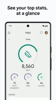 Fitbit captura 1