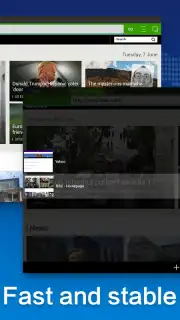 Web Browser captura 5