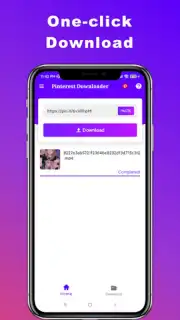 Downloader for Pinterest captura 3