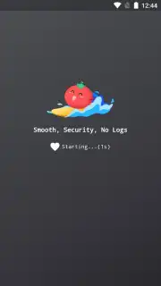 VPN Tomato captura 6