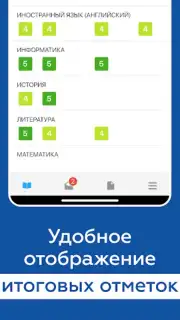 Дневник Новосибирской области captura 12