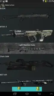 Gun Camera captura 4