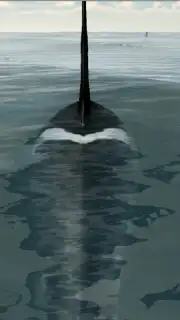 Orca Simulator captura 5