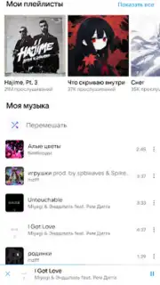 VK Music X captura 7