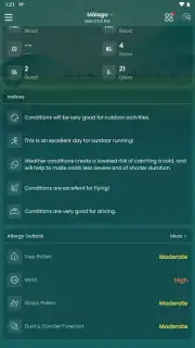 Clima – Weather Forecast captura 11