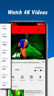 Fast Youtube Downloader captura 8