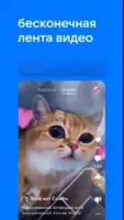 VK Clips captura 2