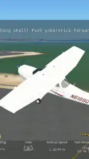 Infinite Flight captura 7