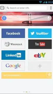 Next Browser captura 3