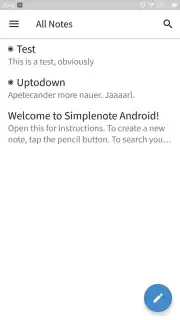 Simplenote captura 1