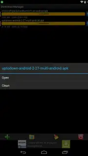 Download Manager captura 2