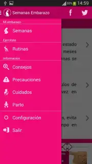 Semanas Embarazo captura 2