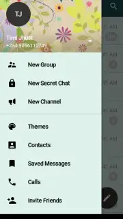 Messenger Plus captura 4