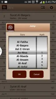 Quran Karim captura 6