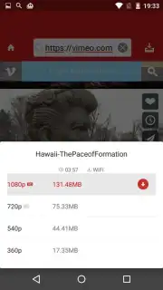 Paris Video Downloader captura 6