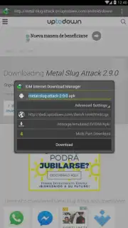 IDM captura 2