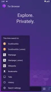 Tor Browser captura 4